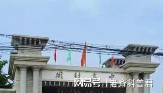 状元榜眼表现对比：谁更值得建队？的简单介绍