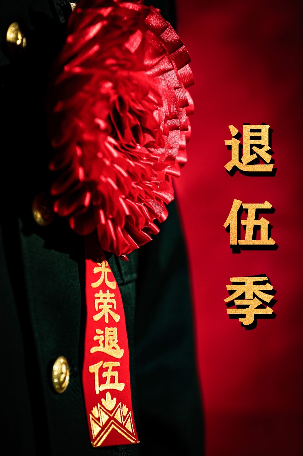 那些年你被感动的退役瞬间