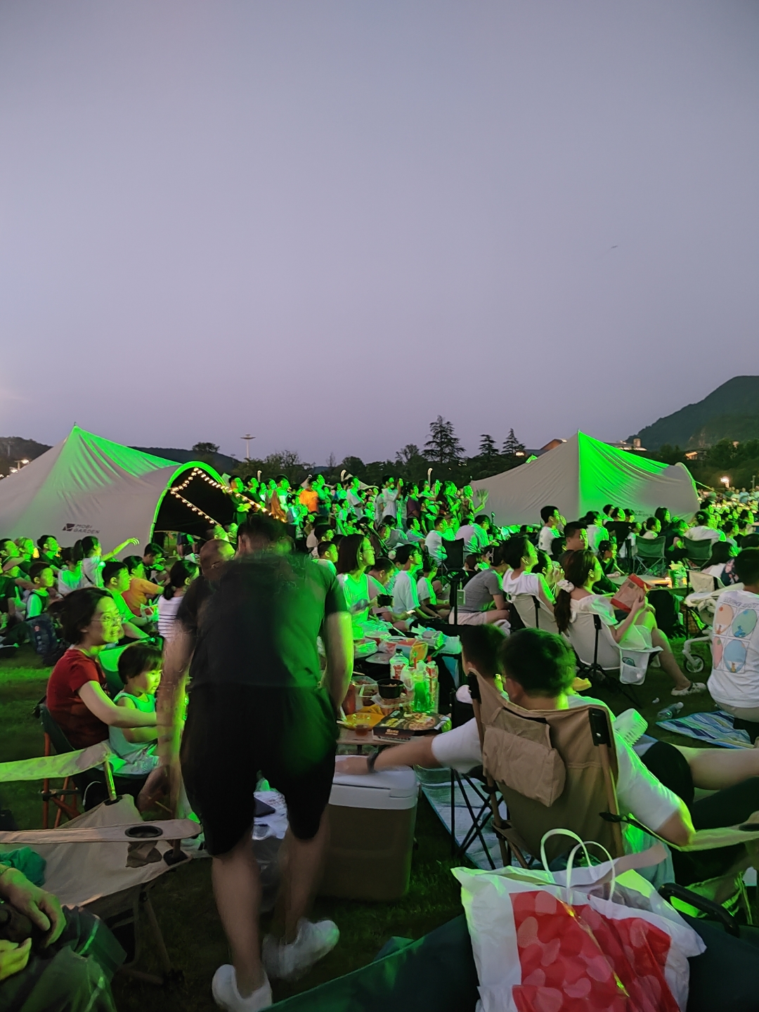 “看台上的情绪：球迷如何影响比赛氛围？”